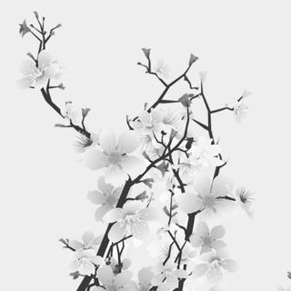 请继续走下去，名为人生的旅程