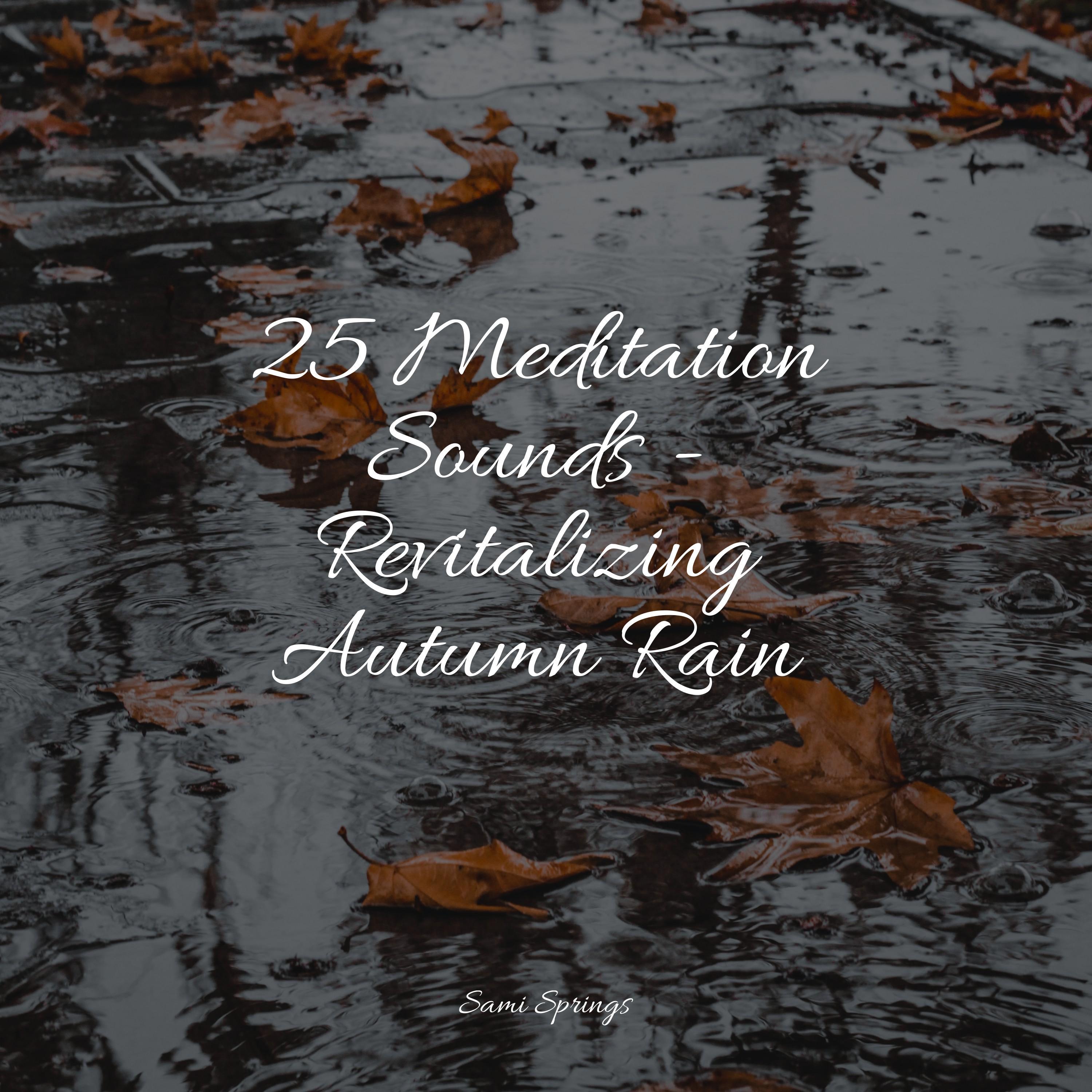 Zen Meditate - Forest, Rain, Birds, Winter