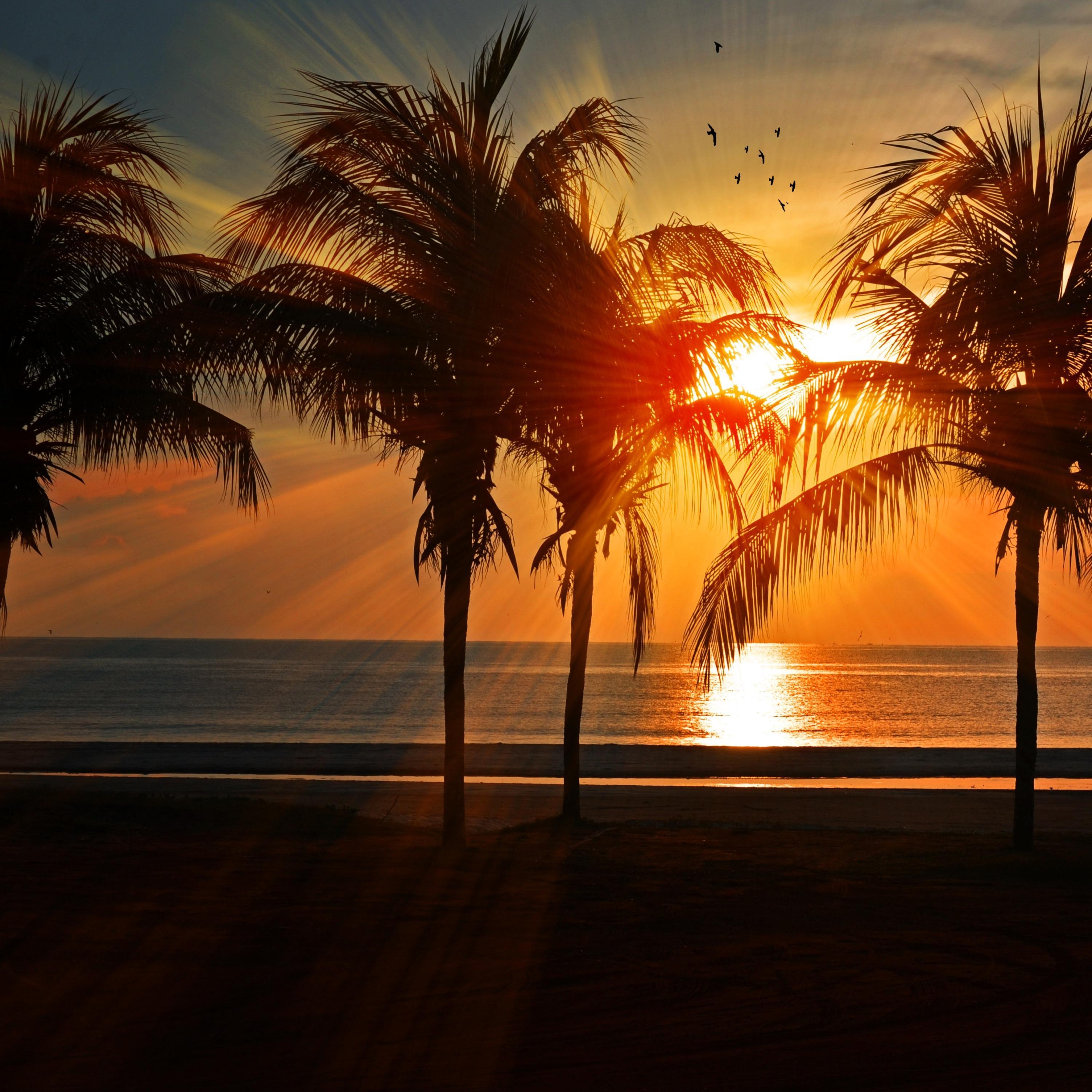 Horizons