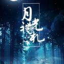 月光礼札 ——"夜空上藏着森林 少年眼睛似流星"专辑