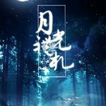 月光礼札 ——"夜空上藏着森林 少年眼睛似流星"专辑