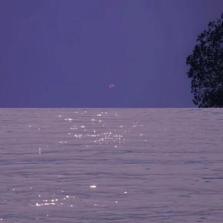 零碎的岛屿会找到海