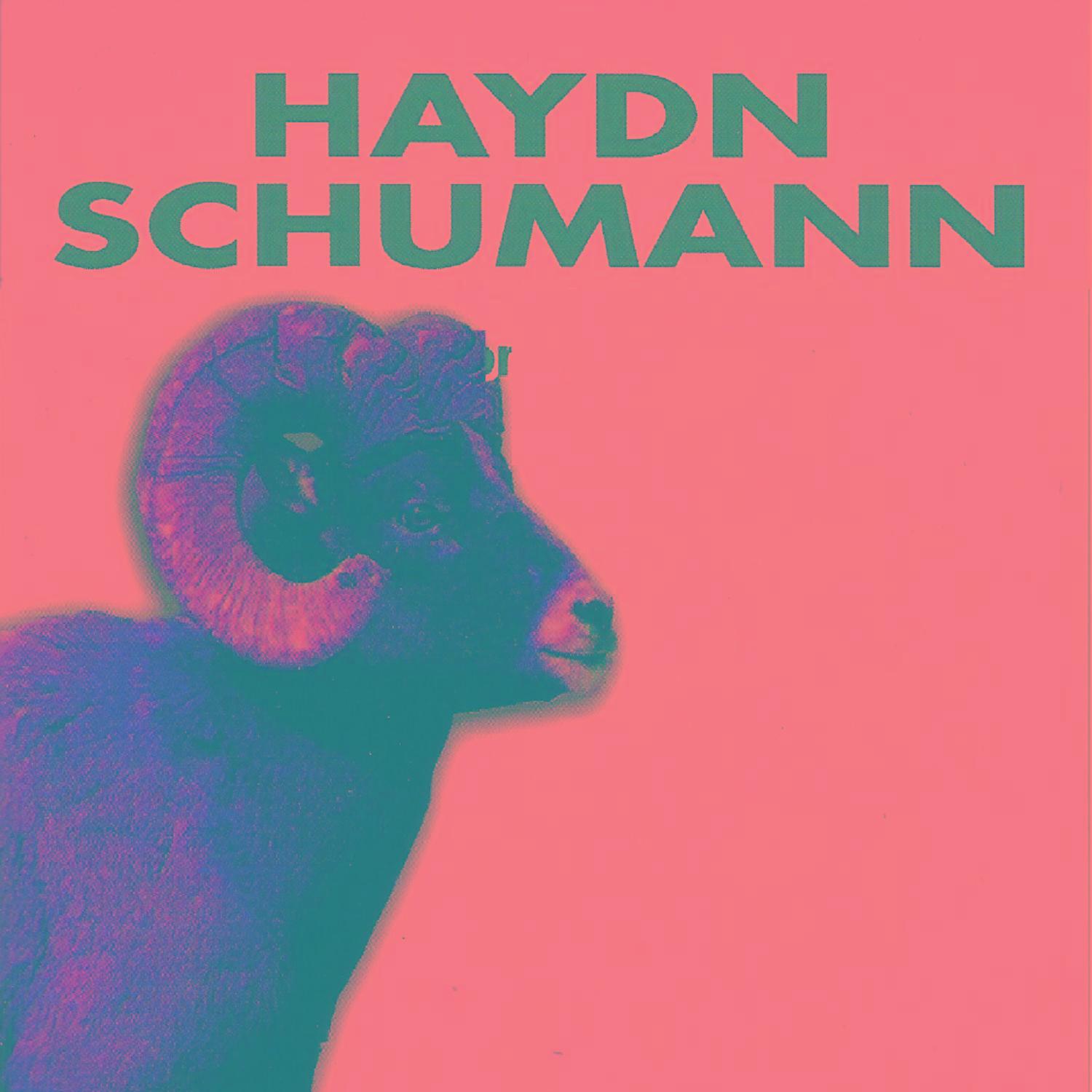 Haydn - Schumann