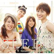 ヒマワリ -Growing Sunflower-