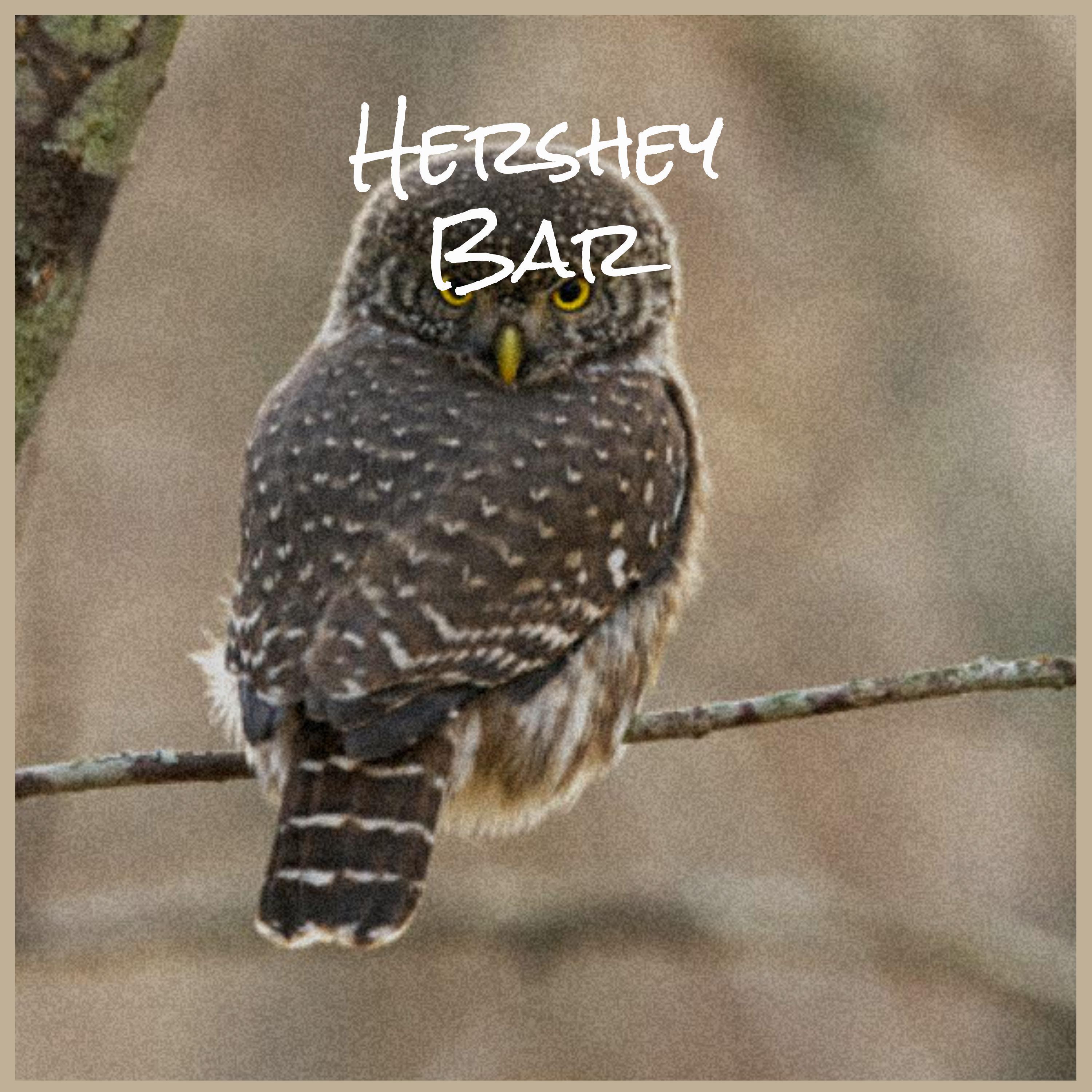 Don't You Hear Me Calling Baby