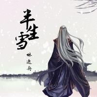 半生雪(蒋雪儿 伴奏) 精品制作和声伴奏