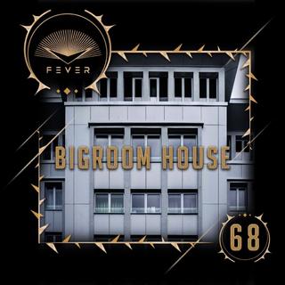 放刺特辑-68 | Bigroom House