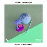 Voices (feat. Bryan Ellis) [Kengo Remix]专辑
