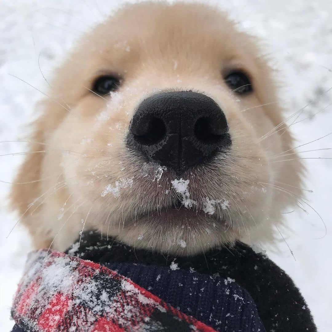 good nb boy
