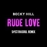 Rude Love (SpectraSoul Remix)专辑