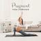 Pregnant Yoga Exercises - 15 Tracks for Yogic Poses and Asanas for Future Mums专辑