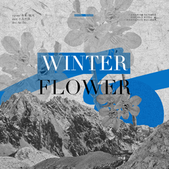 winter flower