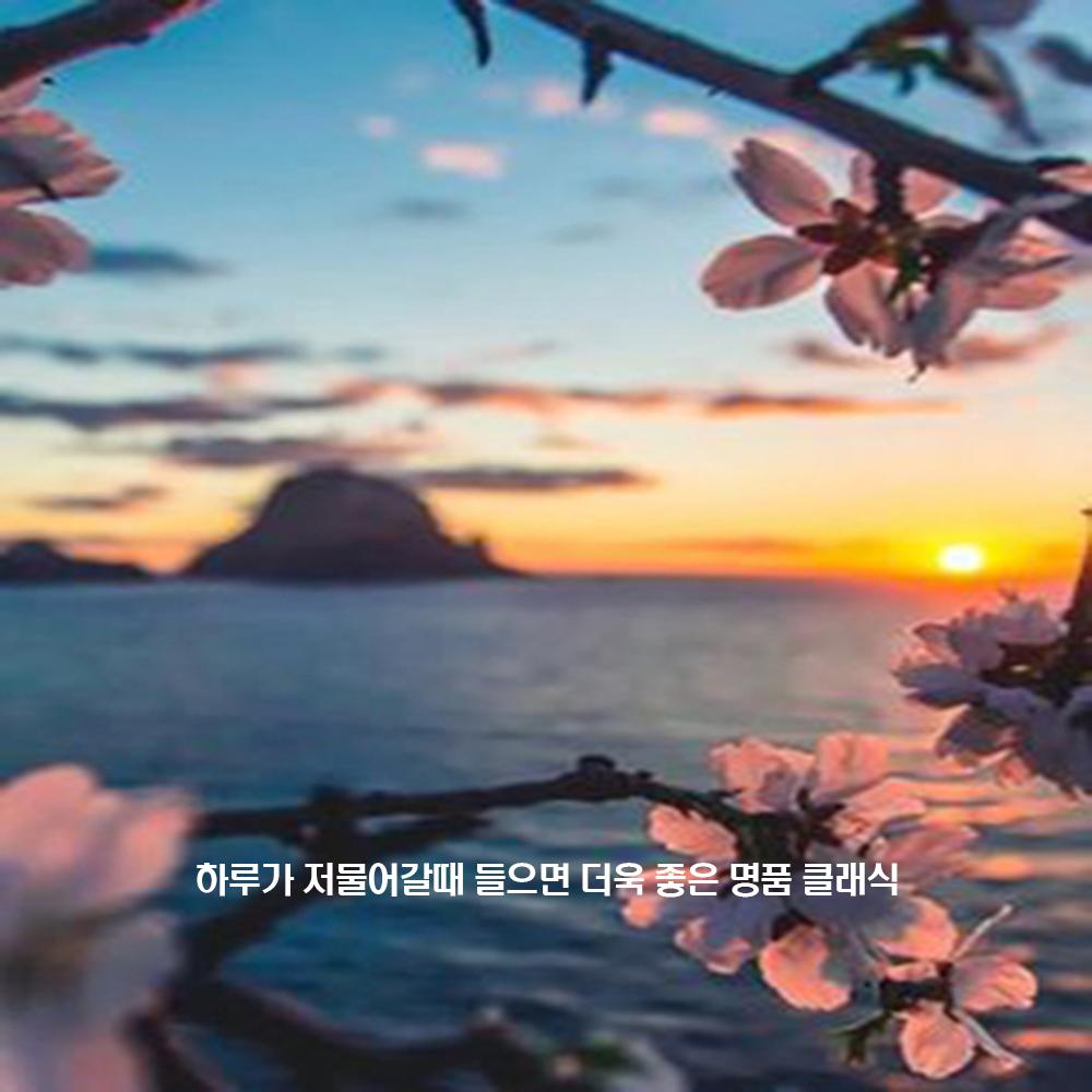 하루가 저물어갈때 들으면 더욱 좋은 명품 클래식