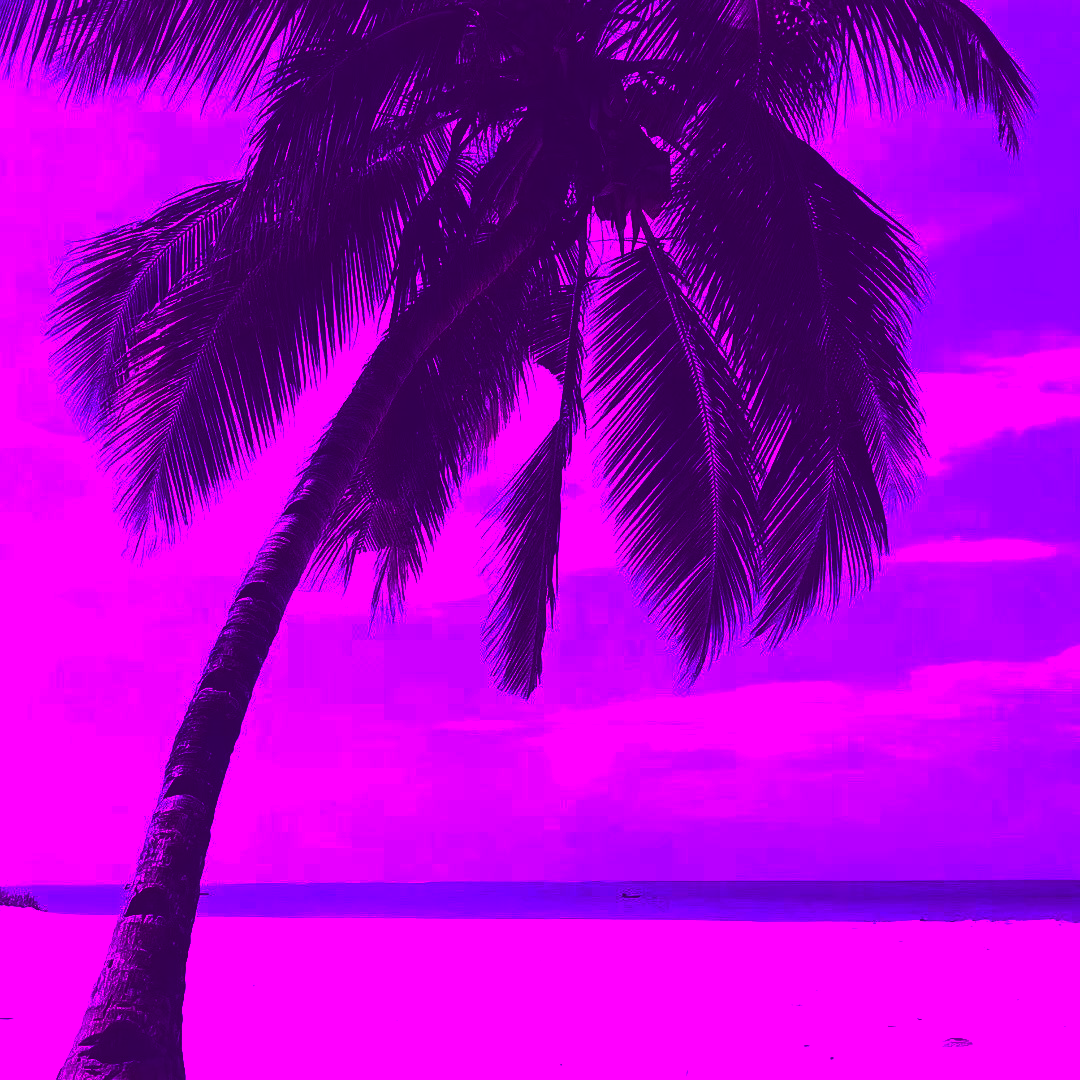 汽水SODA