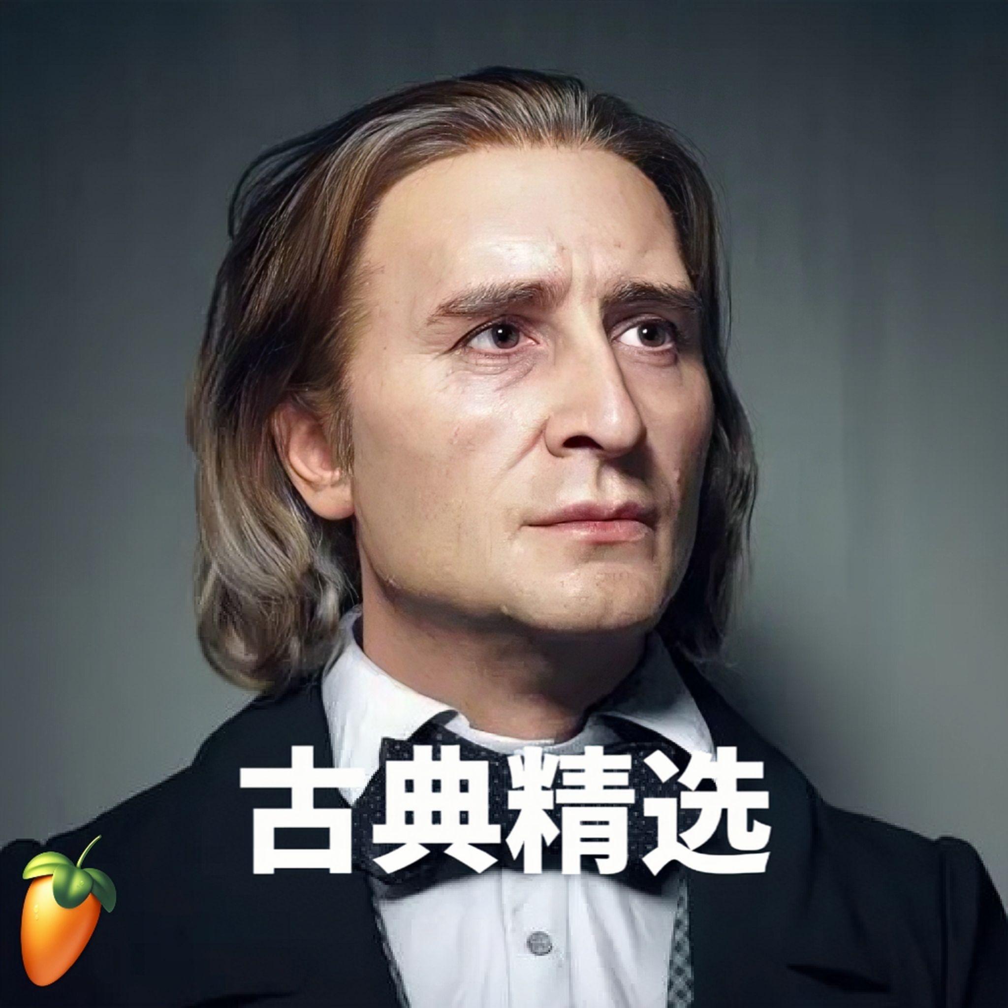 【古典】李斯特:钢琴独奏曲选
