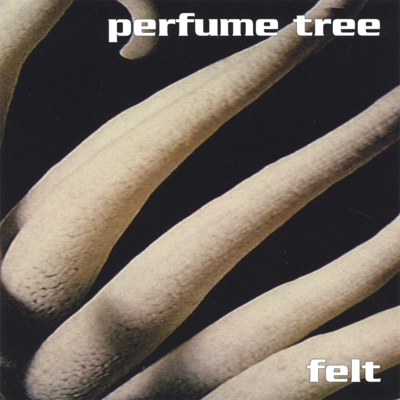 Felt