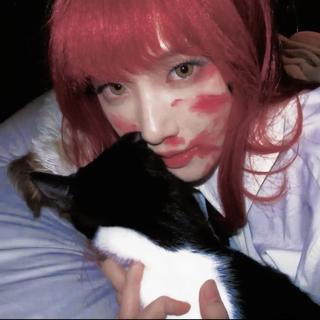 纯女声华语｜我永不凋零的少女梦境