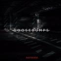 Goosebumps (VIP Edit)专辑