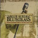 Blue Suede Bluegrass