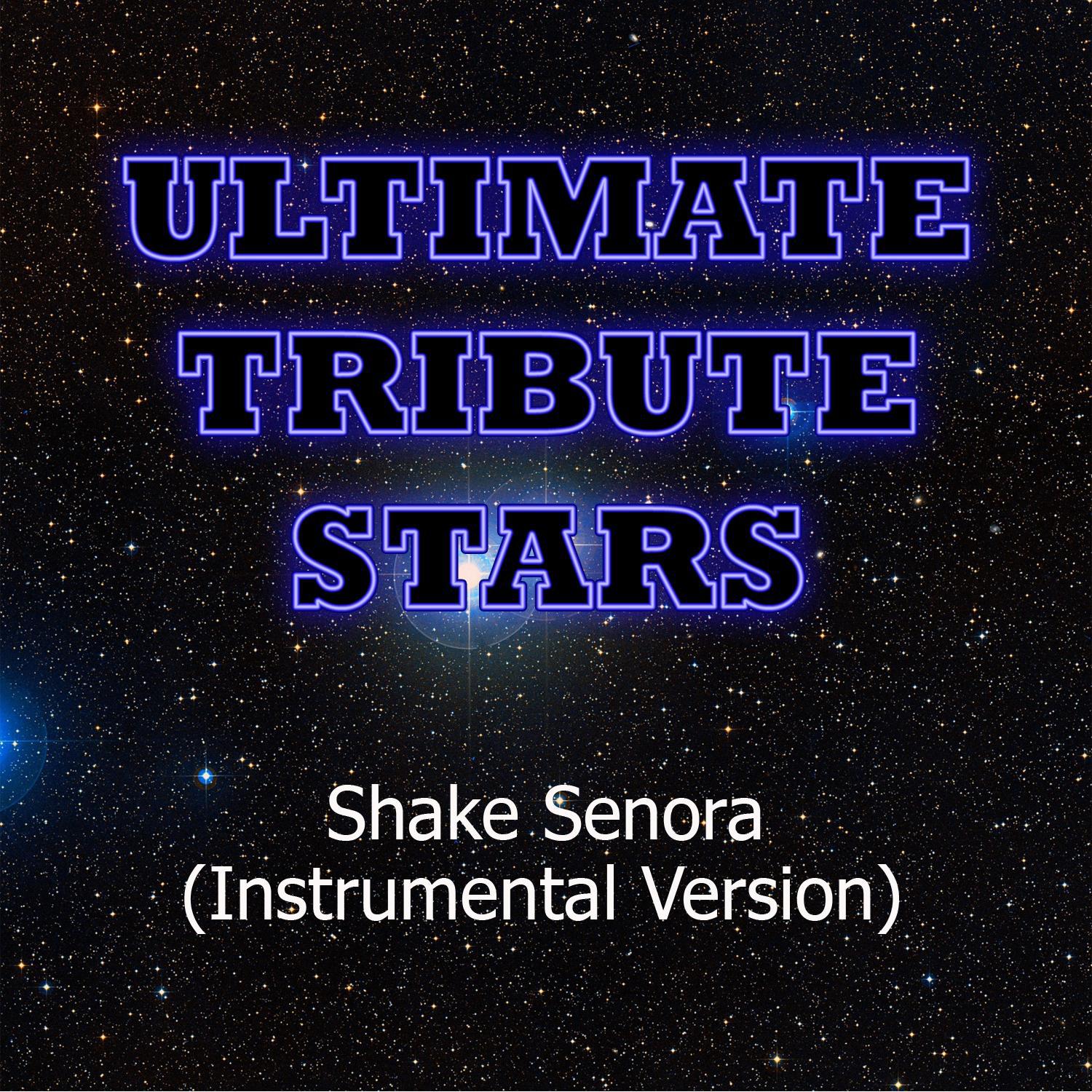 Pitbull feat. T-Pain & Sean Paul - Shake Senora (Instrumental Version)专辑