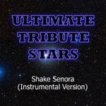 Pitbull feat. T-Pain & Sean Paul - Shake Senora (Instrumental Version)专辑