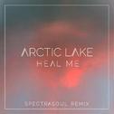 Heal Me (SpectraSoul Remix)专辑