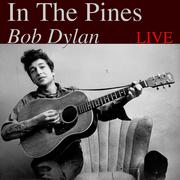 In The Pines (Live)