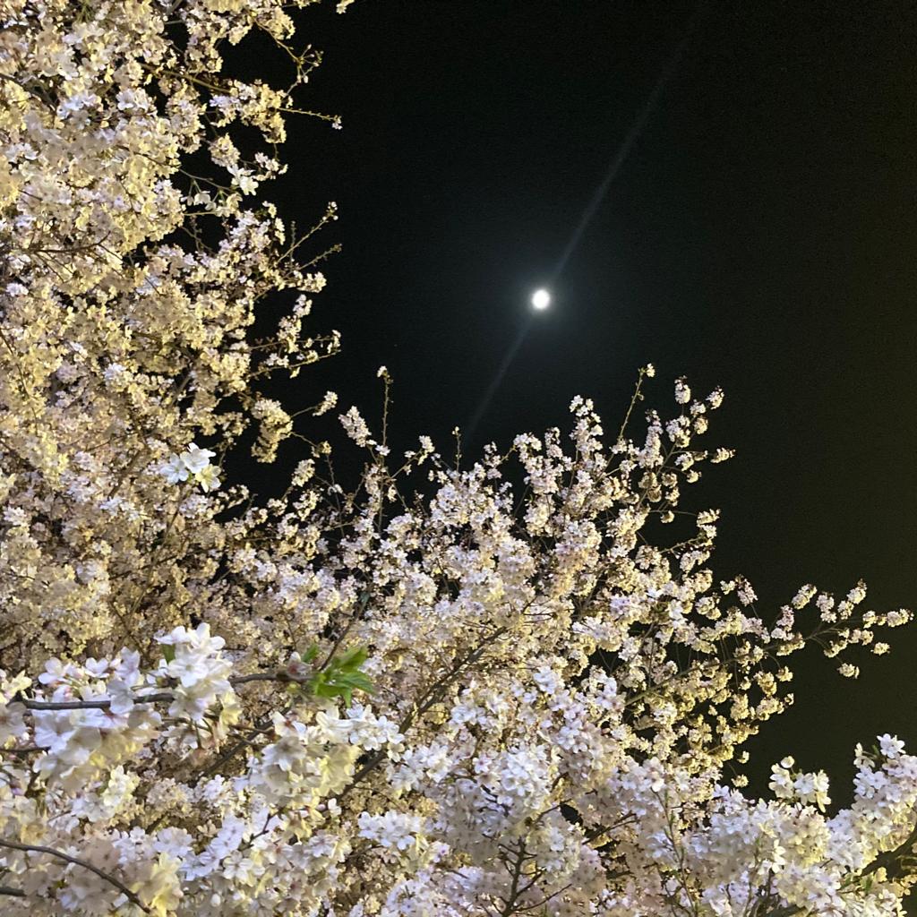 假如一人很合衬，有没有情都开心