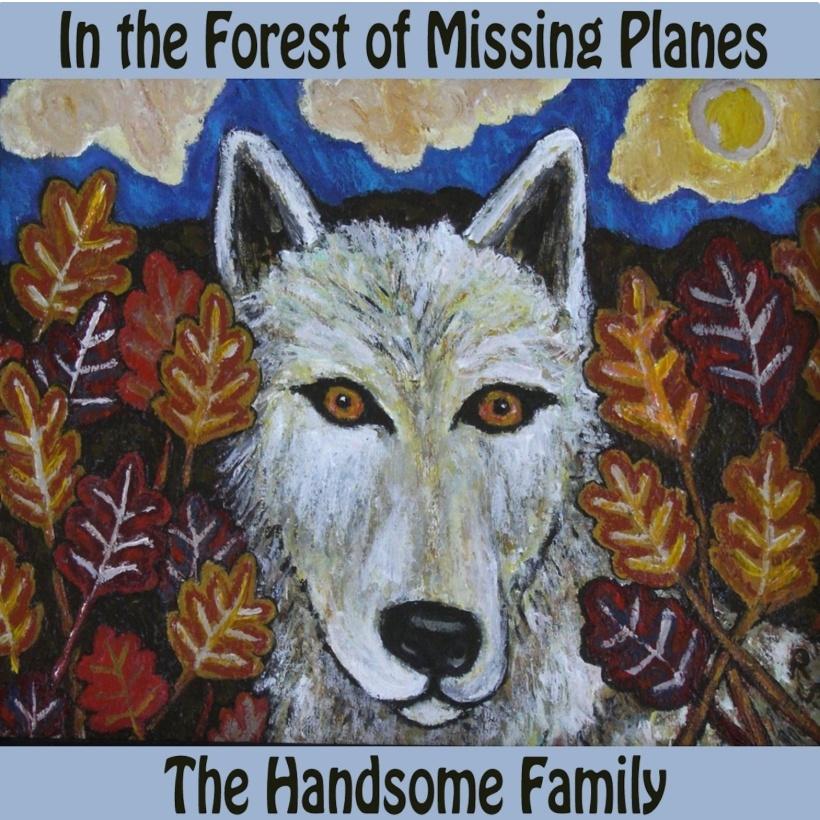 In The Forest of Missing Planes