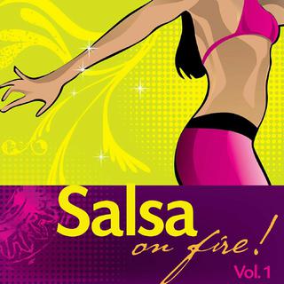 拉美salsa舞曲精选-随缘整理