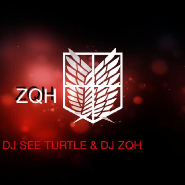 DJ-sea turtle with DJ ZQH 专辑专辑