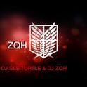 DJ-sea turtle with DJ ZQH 专辑专辑