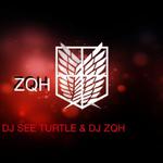 DJ-sea turtle with DJ ZQH 专辑专辑