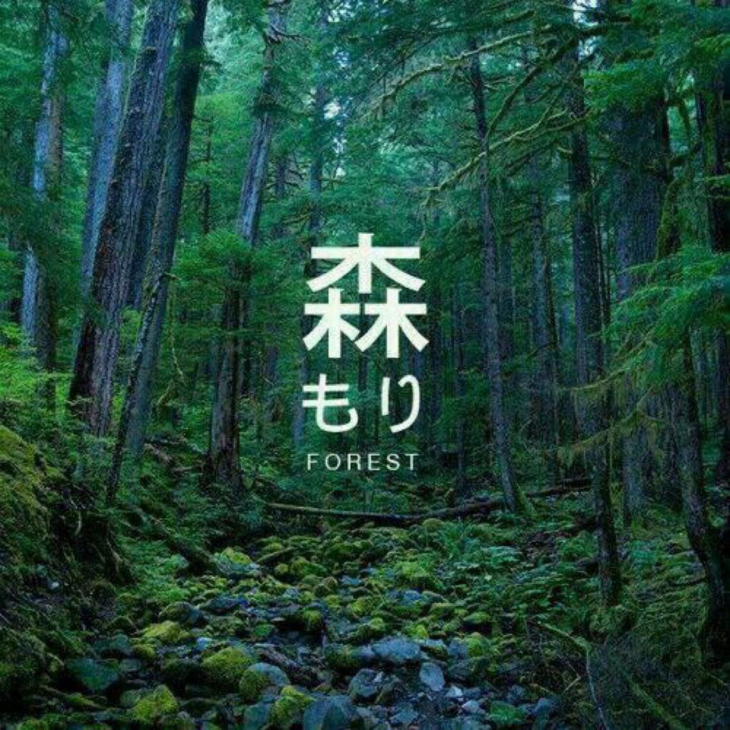林涧丨白噪音与乐音的融合