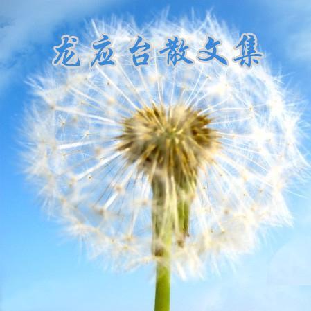 龙应台散文集