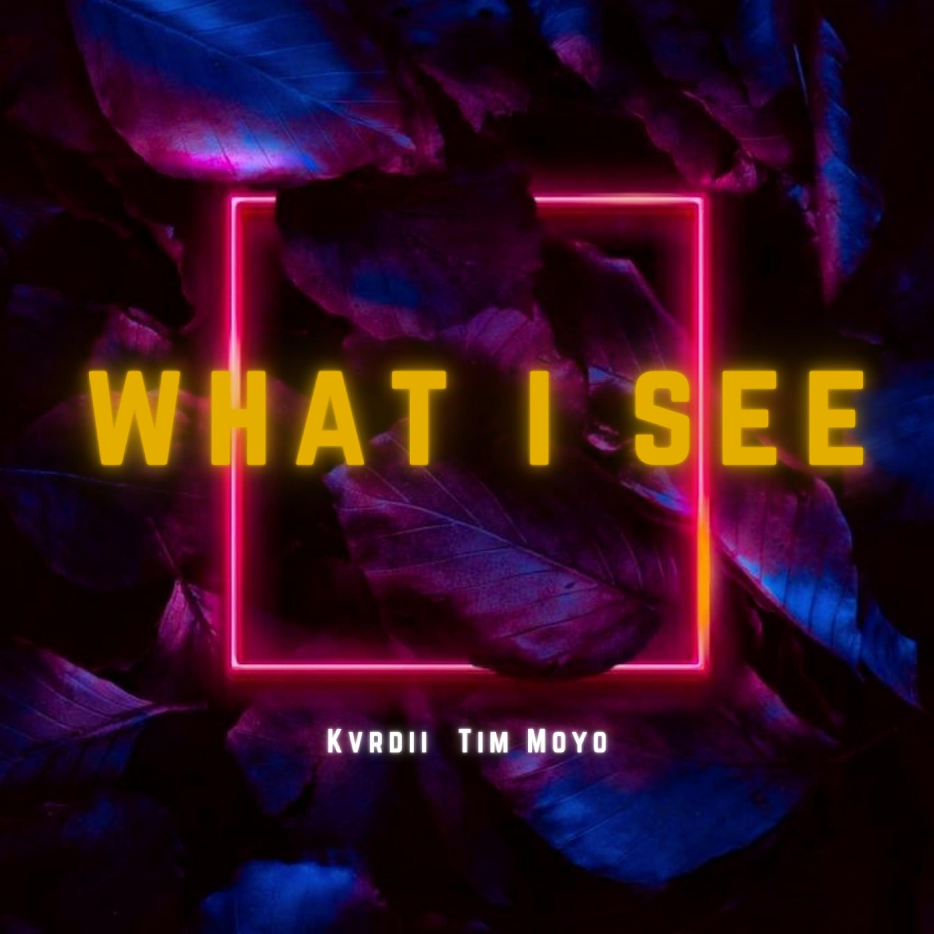What I See (feat. Tim Moyo)