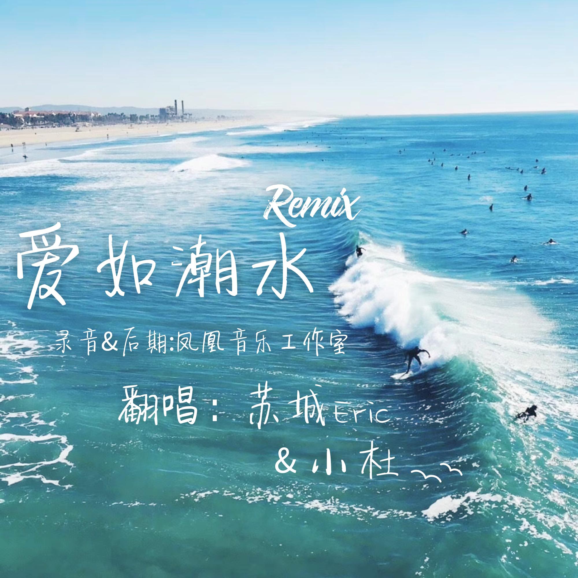 爱如潮水Remix专辑