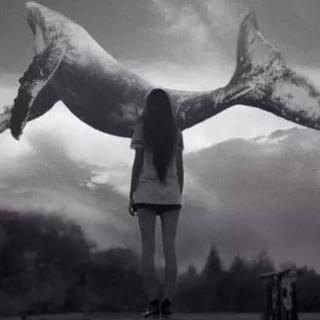 蓝丨鲸丨游丨戏 ☮️ 珍丨爱丨生丨命