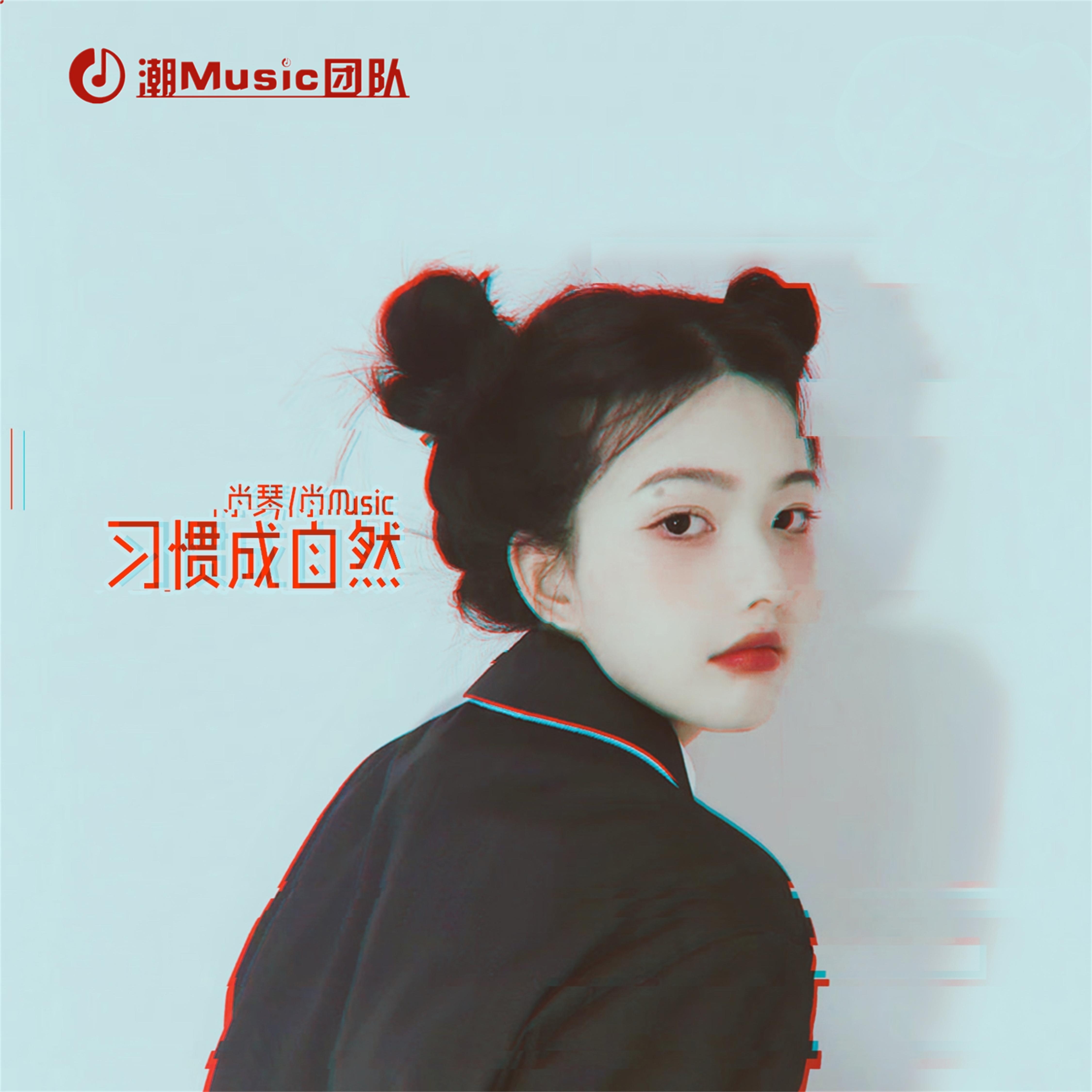 肖琴歌曲封面
