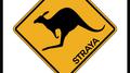 'Straya专辑