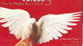 Angel Voices 3 - Christmas Album专辑