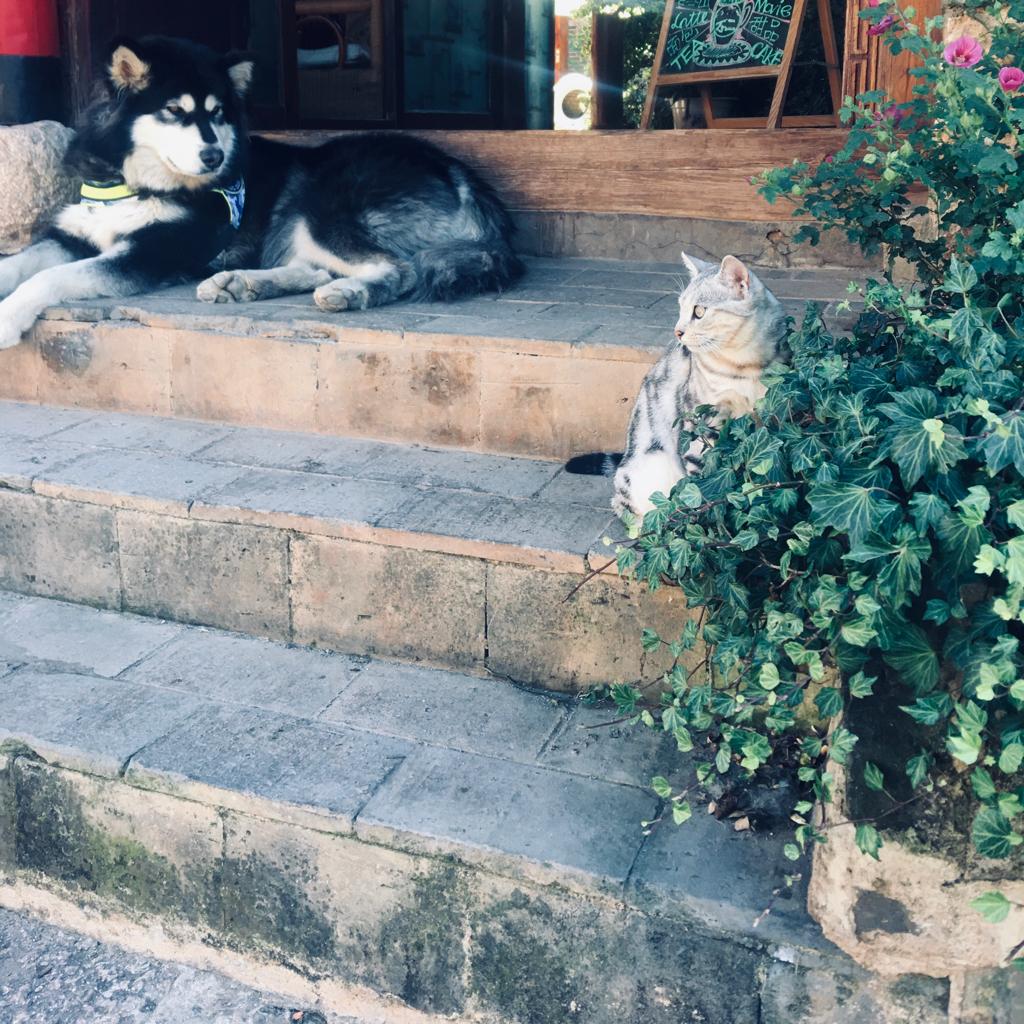 爱听的，持续更新的