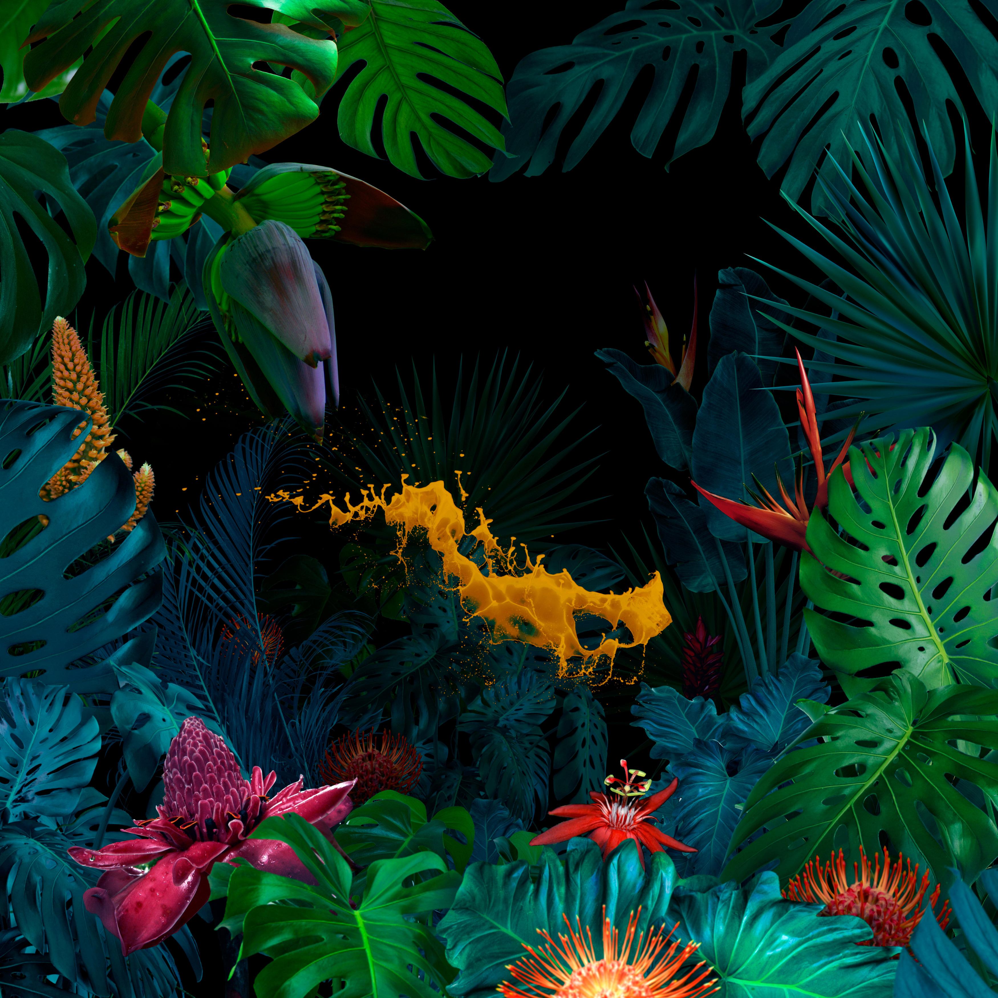 Jungle