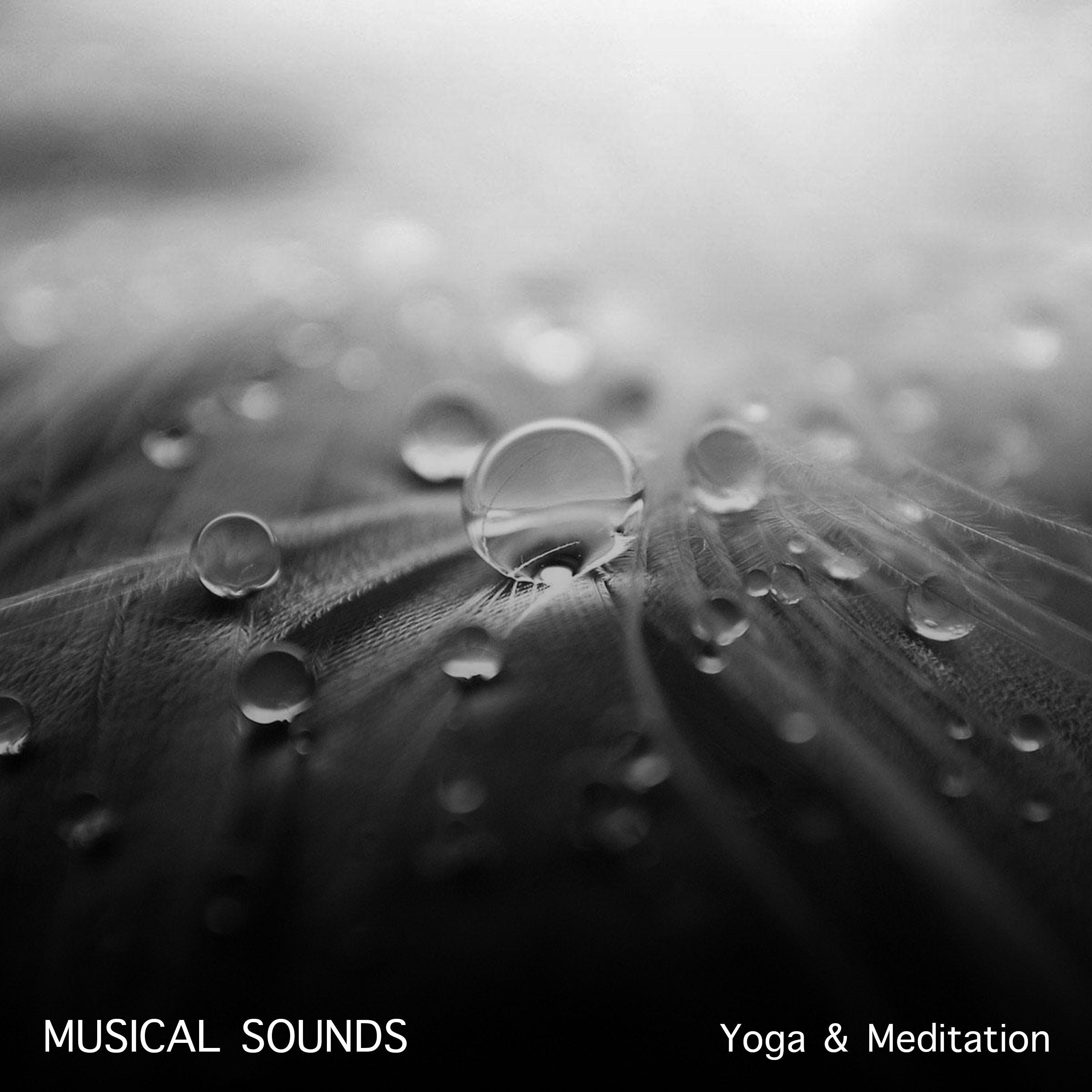 21 Musical Sounds for Yoga and Meditation专辑