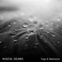 21 Musical Sounds for Yoga and Meditation专辑