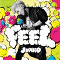 FEEL(韩国版)