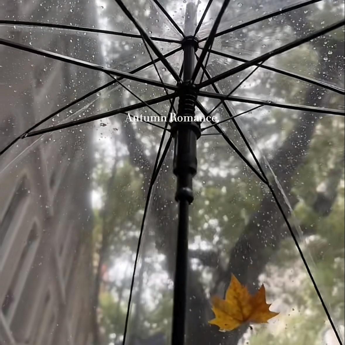 绝版昨天
