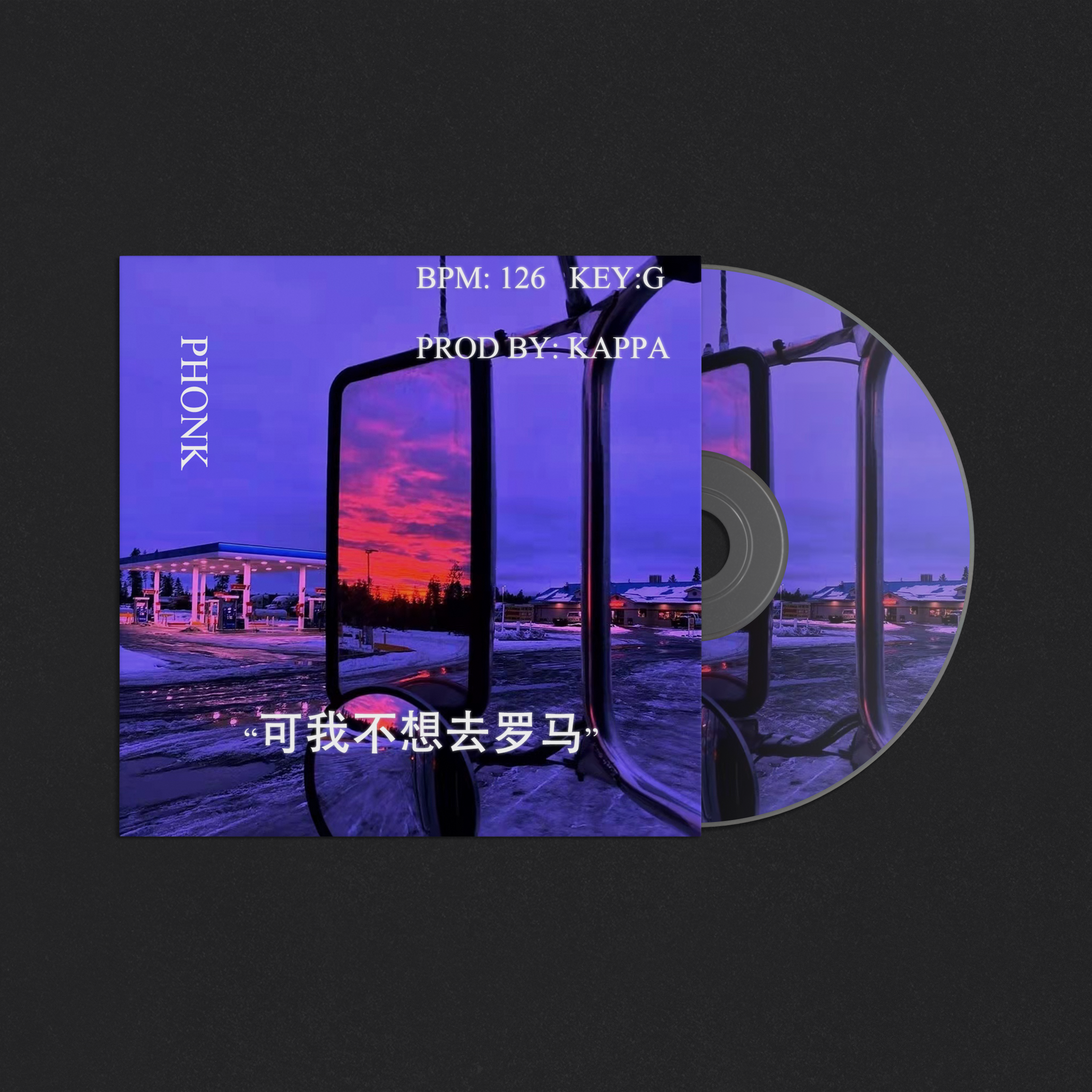 “可我不想去罗马”