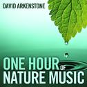 One Hour Of Nature Music: For Massage, Yoga And Relaxation