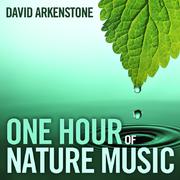 One Hour Of Nature Music: For Massage, Yoga And Relaxation